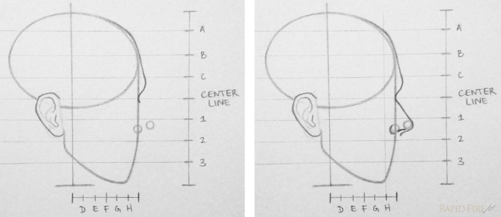 RFA draw face from the side Step 7 nose