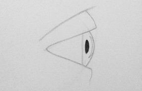 drawing eyes from the side step 6