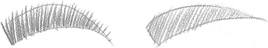 example_incorrectly-drawn-eyebrow