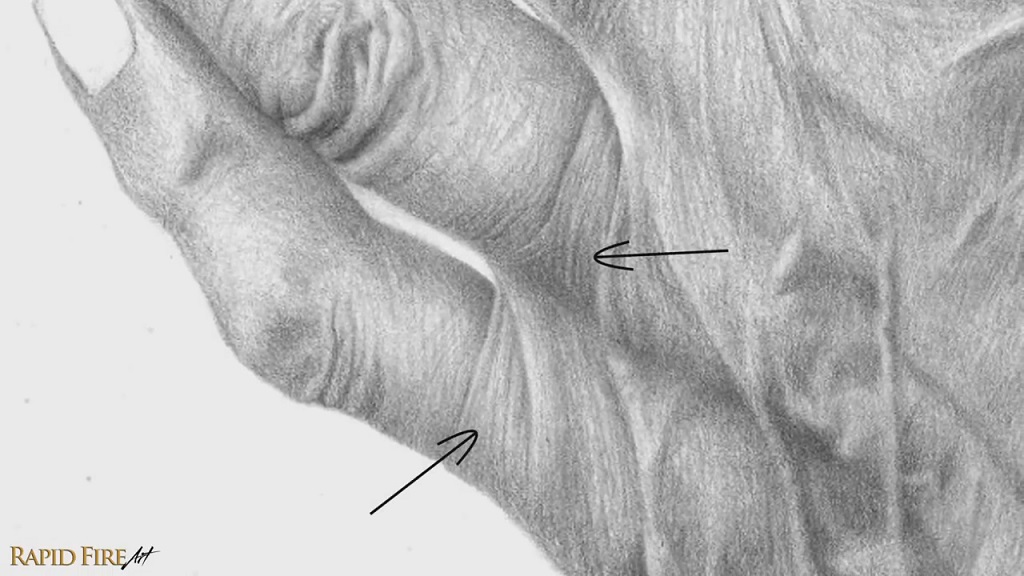 Examples of hatching and contour shading