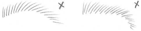 eyebrow-example-predictable-patterns