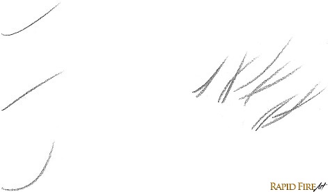 eyebrow-hair-curve-rfa