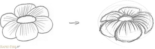 Flower contour lines example