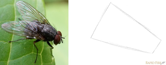 How to break objects down into simple shapes Stage 1jpg