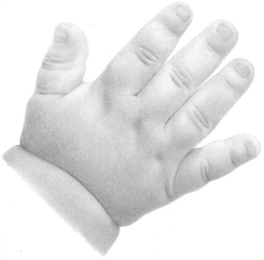 how to draw a baby hand with pencil