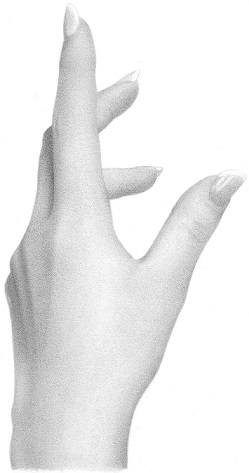 how to draw a feminine female hand