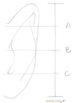 how-to-draw-an-ear-from-the-front-step-4-rfa