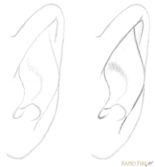 how-to-draw-an-ear-from-the-front-step-7