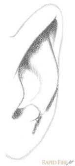 how-to-draw-an-ear-from-the-front-step-8