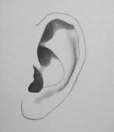 how to draw an ear step 4