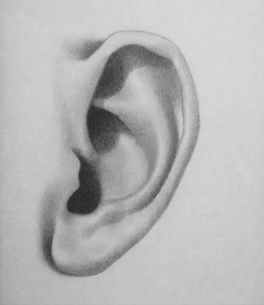 how to draw an ear step 5