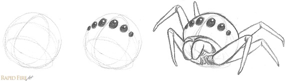 How to Draw Contour Lines and Eyes_ spider example