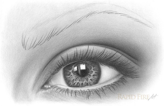 how to draw eyebrows