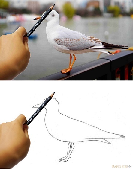 How to draw with correct proportions_angles