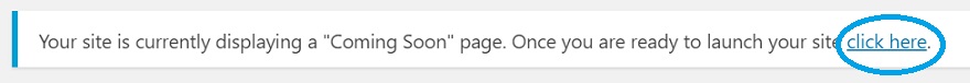 how-to-start-an-art-website_launch
