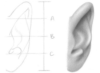 thumbnail-how-to-draw-an-ear-front-324x235