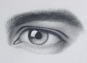 how to draw a realistic male masculine eyebrow step by step with pencil and paper